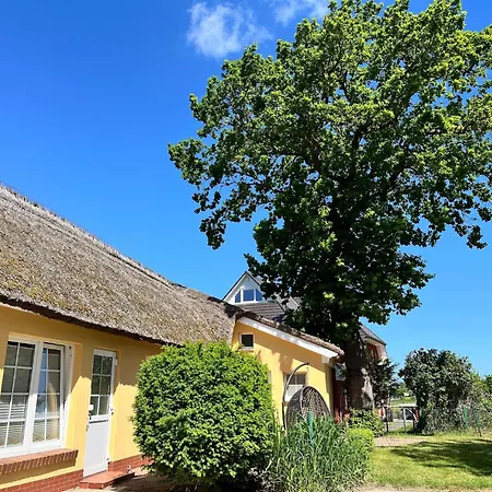 Appartementhaus Kathrin, Am Darss *